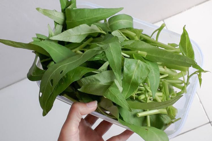 Kangkung