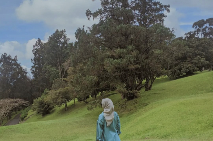 INilah 7 tempat wisata keren di Bogor yang cocok bikin foto aesthetic bareng ayang. Bahkan, tiketnya lebih murah dari kopi Starbucks.