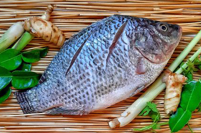 Tips hidup: manfaat ikan nila untuk kesehatan.