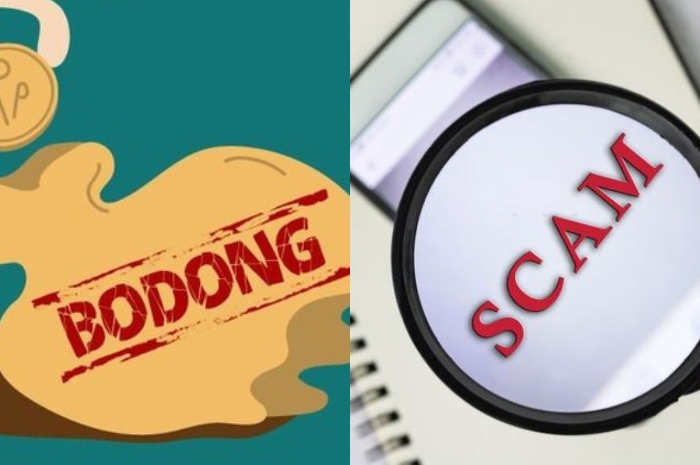 daftar investasi bodong 