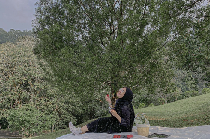 Inilah ulasan 6 foto cantik tempat wisata piknik di Bogor yang dijamin murah meriah sampai bikin kita happy. 