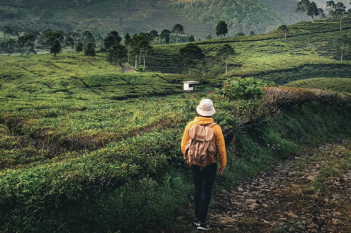 5 foto cantik tempat wisata alam di Bogor yang cocok buat trekking santai bareng pasangan atau keluarga.