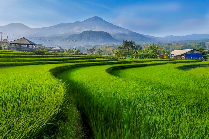 Gerakan Menuju Smart City 2022 diharapkan dapat meningkatkan ekonomi warga, termasuk warga Kecamatan Trawas di Kabupaten Mojokerto, Jawa Timur