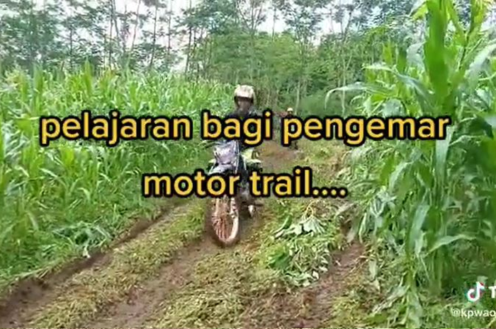 Oknum pengendara motor trail nekat terabas kebun jagung milik seorang nenek.