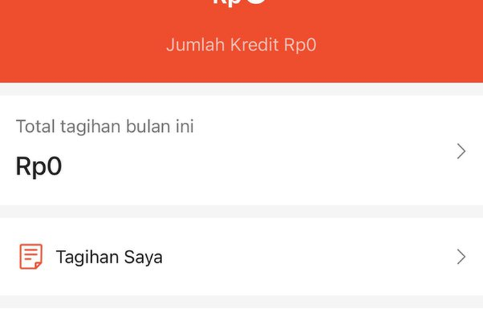 rentang waktu debt collector spaylater menagih