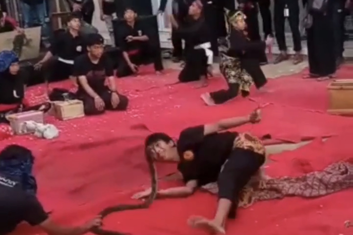 Begini deretan foto aksi Alprih Priyono pawang ular yang tewas digigit ular king cobra. Netizen sampai komentar begini.