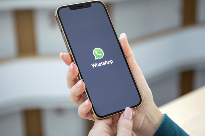 Alamat proxy WhatsApp banyak dicari. Ini cara tahu agar bisa kirim chat tanpa akses internet.