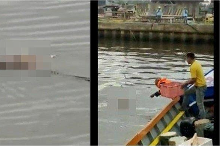 Penampakan buaya mengantarkan jasad bocah 4 tahun yang meninggal karena tenggelam.