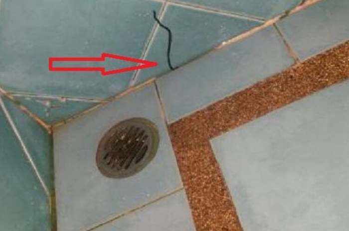 Tips hidup basmi cacing di kamar mandi