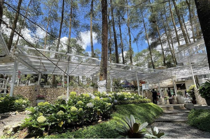 Foto estetik di Warung Kopi Gunung Cikole, tempat wisata hits di Lembang, Bandung Barat.