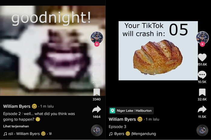 Video TikTok yang diklaim bisa buat aplikasi berhenti mendadak.