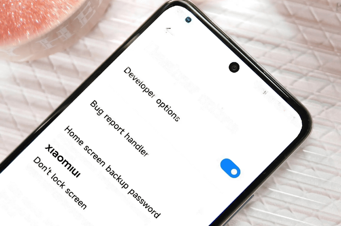 Tampilan Opsi developer di hp Xiaomi yang bisa membuat hp lebih ngebut. 