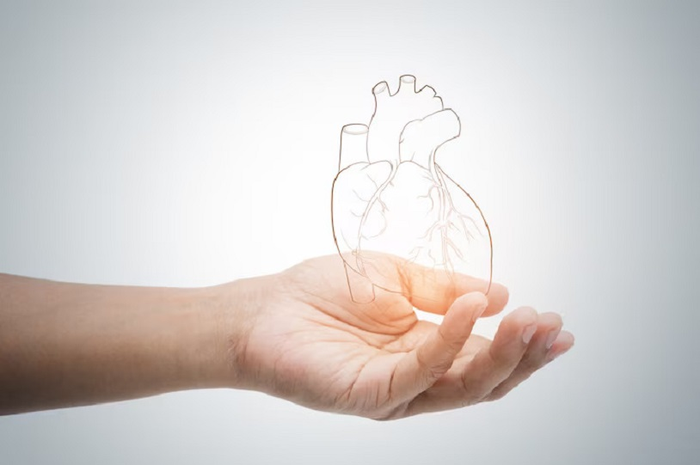Jantung adalah salah satu organ vital yang memastikan darah terpompa ke seluruh tubuh. Bagaimana cara mencegah penyakit jantung?