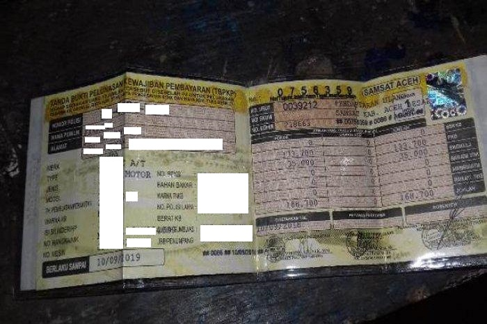 Ilustrasi pemutihan pajak triple untung+