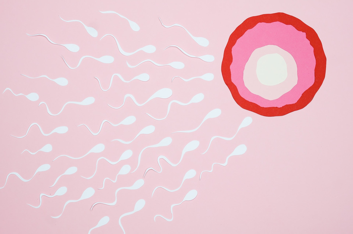 Ilustrasi sperma