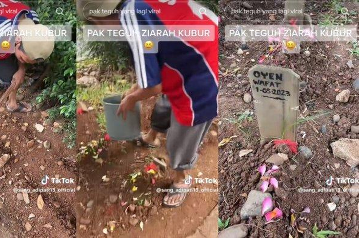 Pak Teguh dengan sukarela merawat kuburan kucing liar.