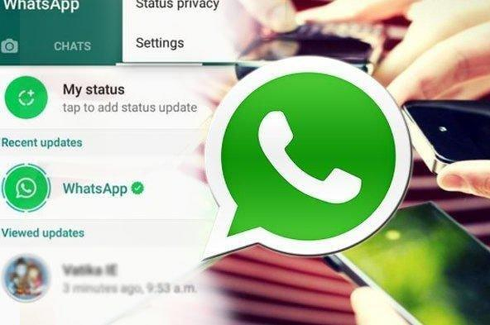 Cara menyimpan status WhatsApp teman tanpa aplikasi pihak ketiga.