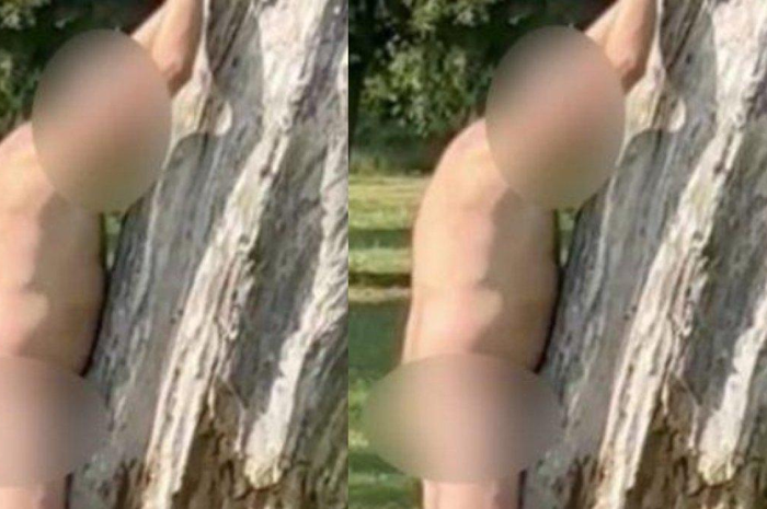 Pria kepergok berhubungan badan dengan pohon di taman 