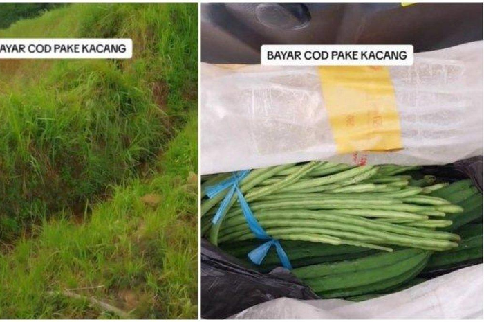 Kurir antar paket COD dibayar dengan oyong dan kacang 