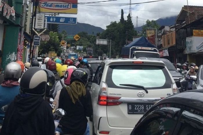 Ilustrasi Jalur Puncak, Bogor