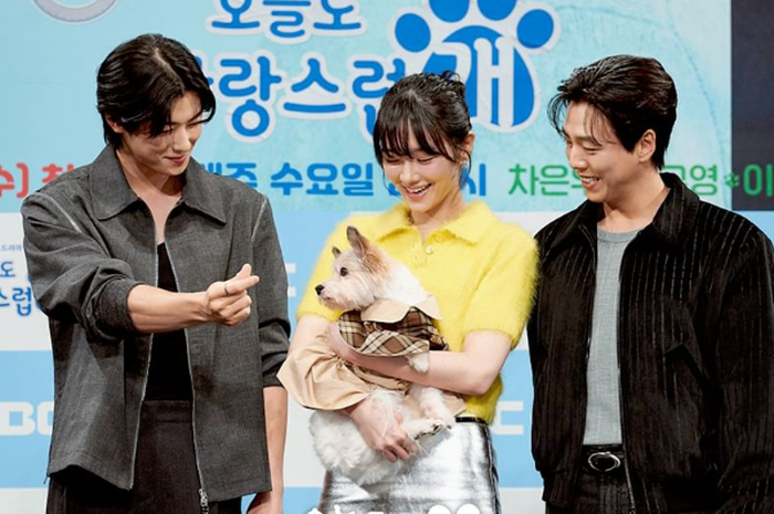 Drama Korea A Good Day to Be a Dog