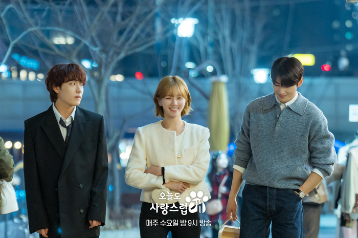 drama Korea A Good Day to Be a Dog 