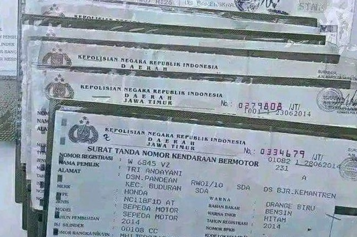 Pemutihan 2024 dibuka setahun simak daerah mana saja yang sudah buka