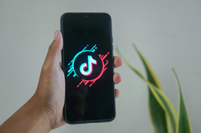 Ilustrasi aplikasi TikTok di ponsel.