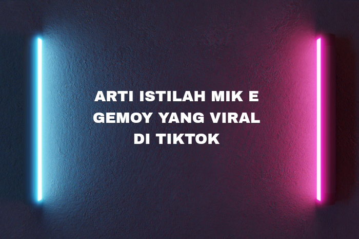 Arti istilah mik e gemoy