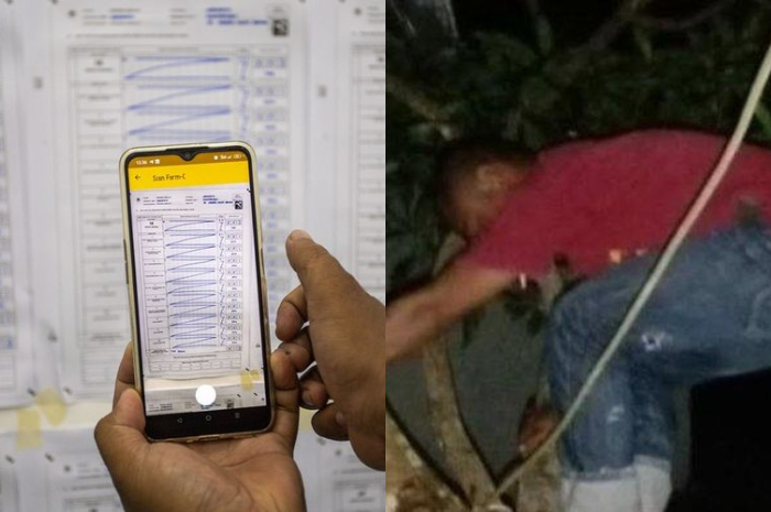 Anggota KPPS naik ke pohon untuk mencari sinyal demi mengunggah hasil penghitungan suara ke aplikasi Sirekap.