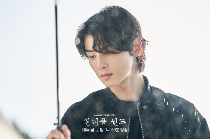 Drama Korea Wonderful World 