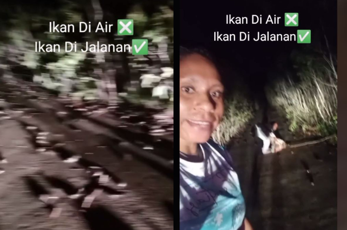 ikan betik berhamburan di jalan