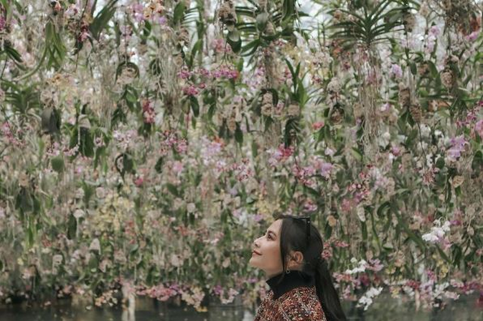 Niat hati pamer masak besar untuk Lebaran, artis cantik ini malah panen sindiran
