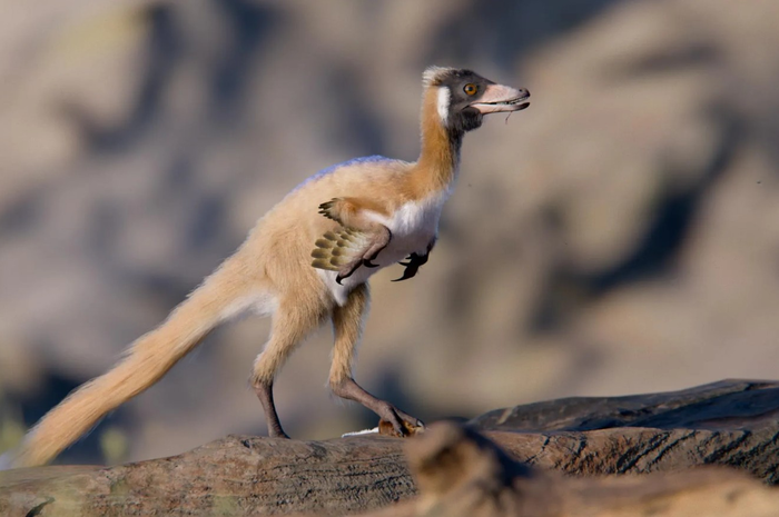 Source: Gabriel Díaz Yantén/Universidad Nacional de Río Negro