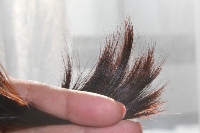 hairbuddha.net