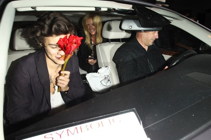 Harry Styles: Pacaran Sama Kimberly Stewart?