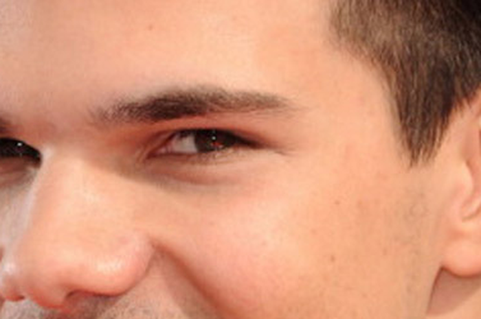 Taylor Lautner