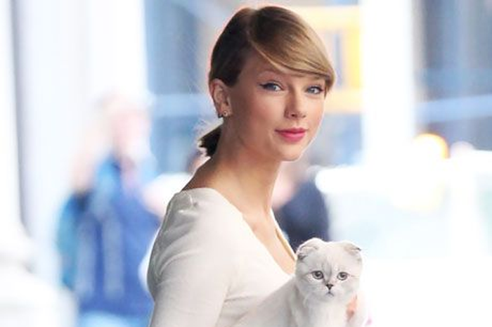 Taylor Swift dan Keds Luncurkan Sepatu Bertema Kucing