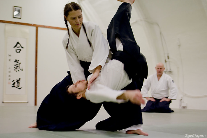 Mau Coba Aikido?