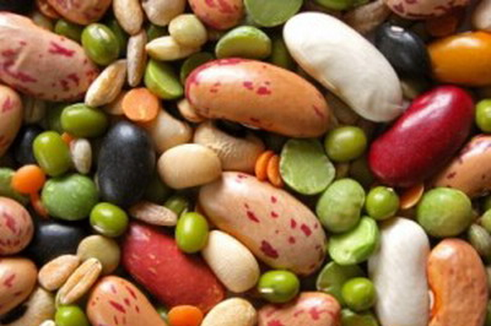 Yuk Makan Kacang-kacangan!