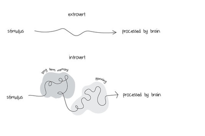 Jalur syaraf introvert (foto: Liz Fosslien and Mollie West/ Huffingtonpost).