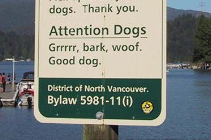 Rules For All!