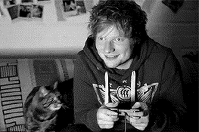 Ed Sheeran: Pose dengan Binatang-Binatang Lucu