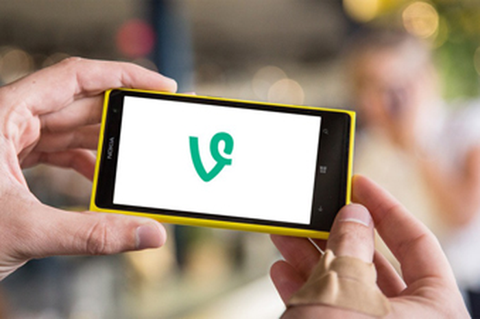 Aplikasi Vine Hadir di Windows Phone