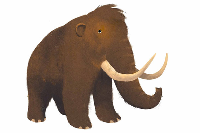 12 Binatang Yang Muncul di Kuis Google Which Animal Are You