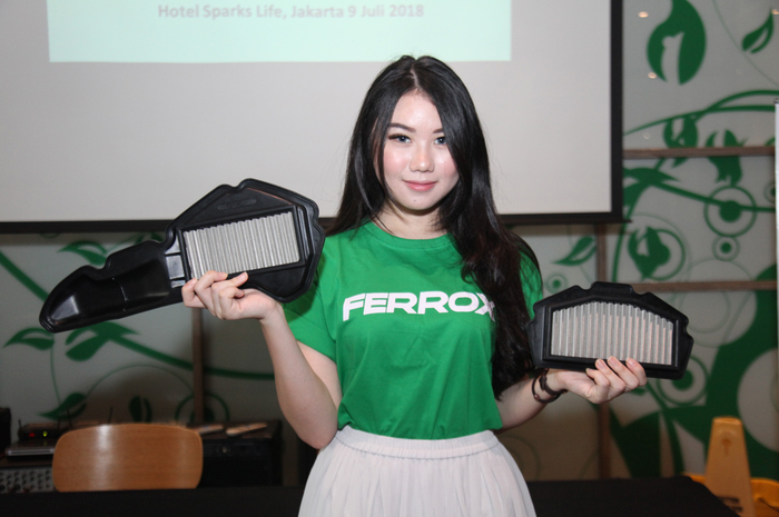 Ferrox Air Filter