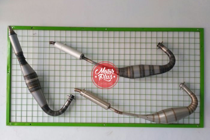 Contohnya yang lagi ramai model standar racing Yamaha F1ZR, tersedia juga model kalajengking ala bebek tune up underbone juga tuh