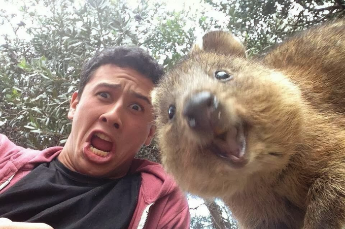 Selfie