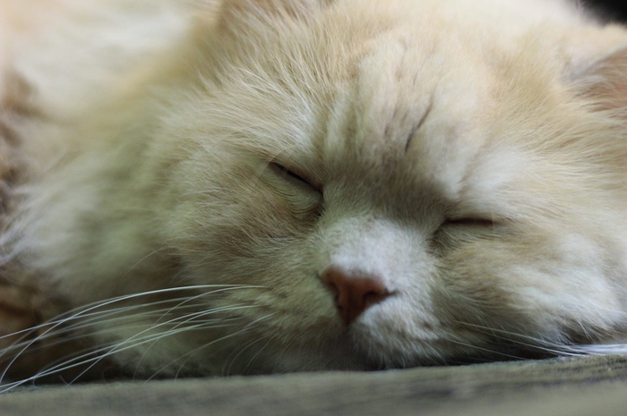 Susah tidur