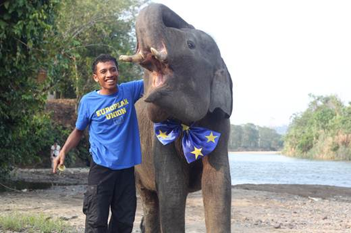 Delegasi Uni Eropa Adopsi Anak Gajah untuk Jadi Maskot Lingkungan